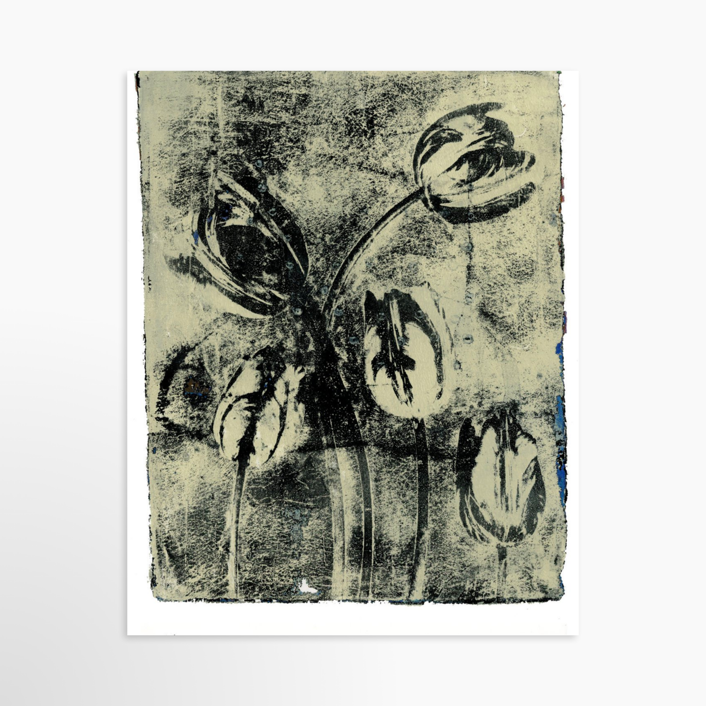 16" x 20" / Unframed