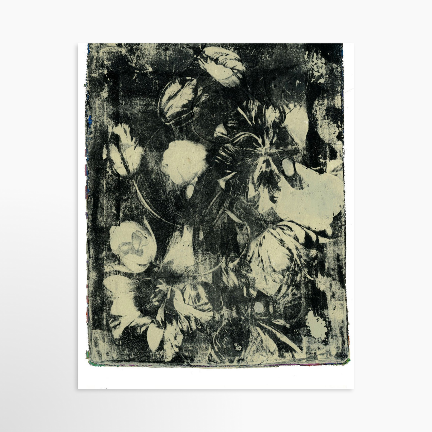 16" x 20" / Unframed