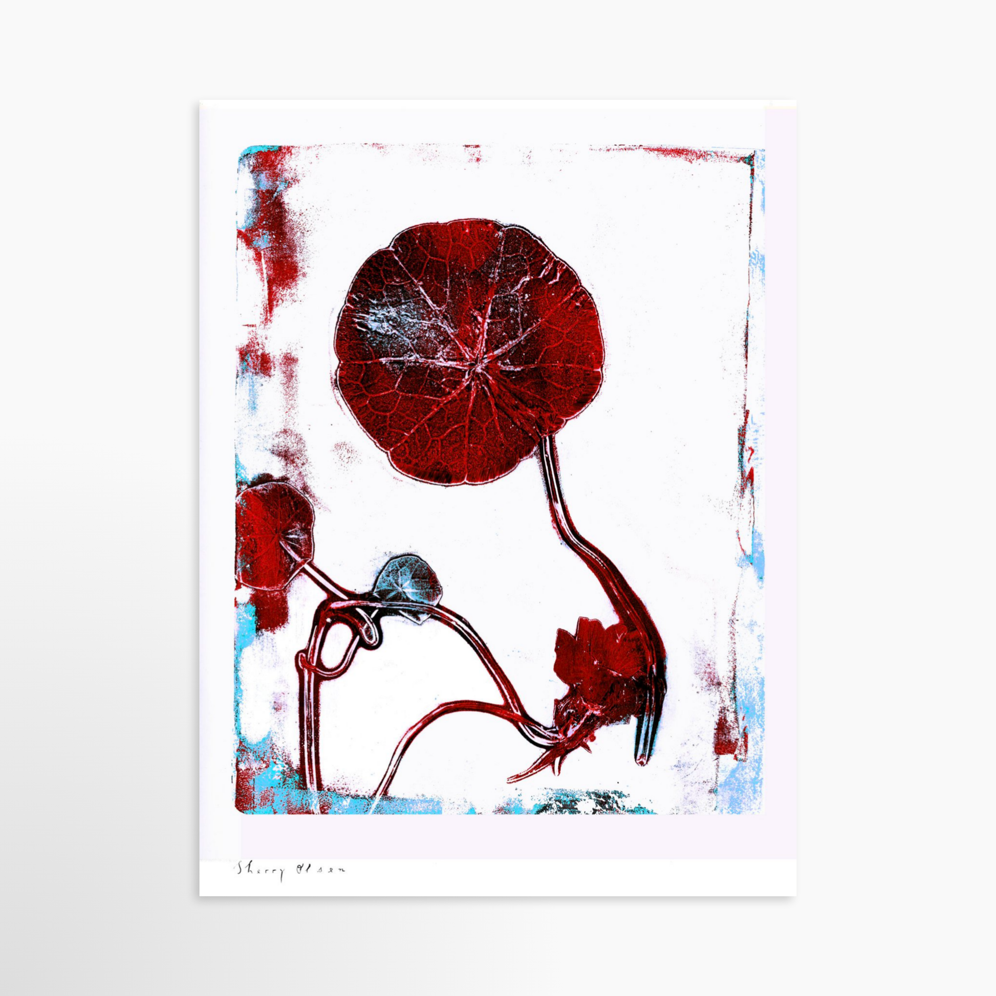 24 x 32 / Unframed