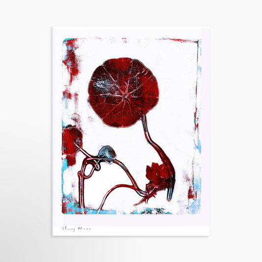 24 x 32 / Unframed