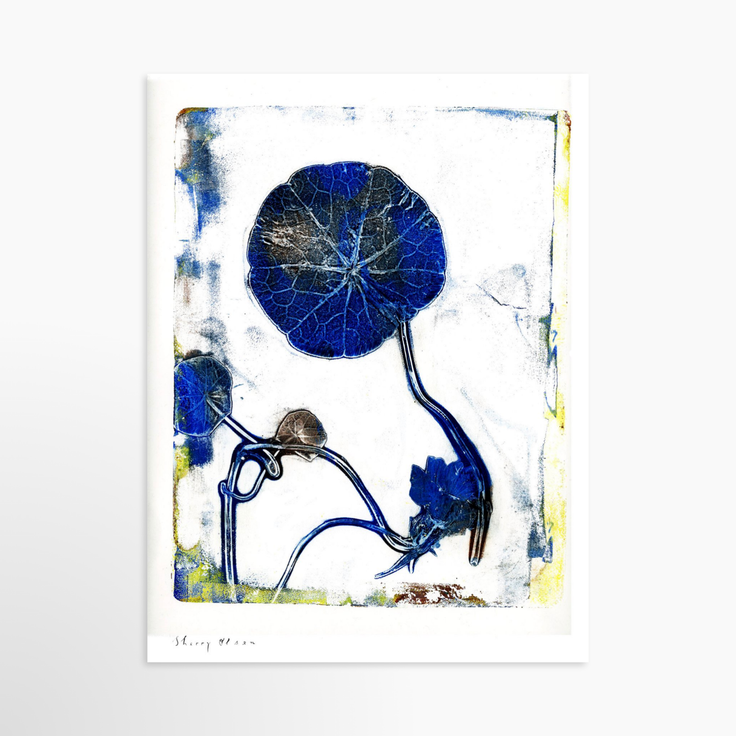 24 x 32 / Unframed