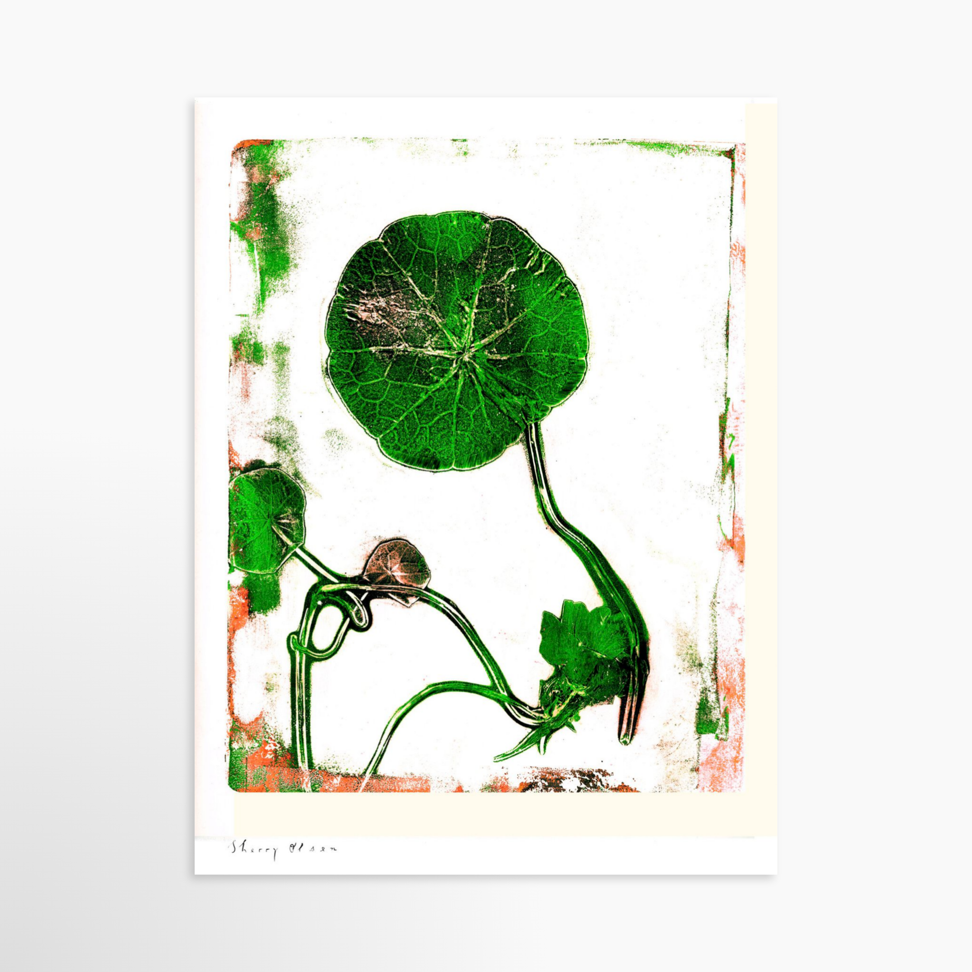 24 x 32 / Unframed