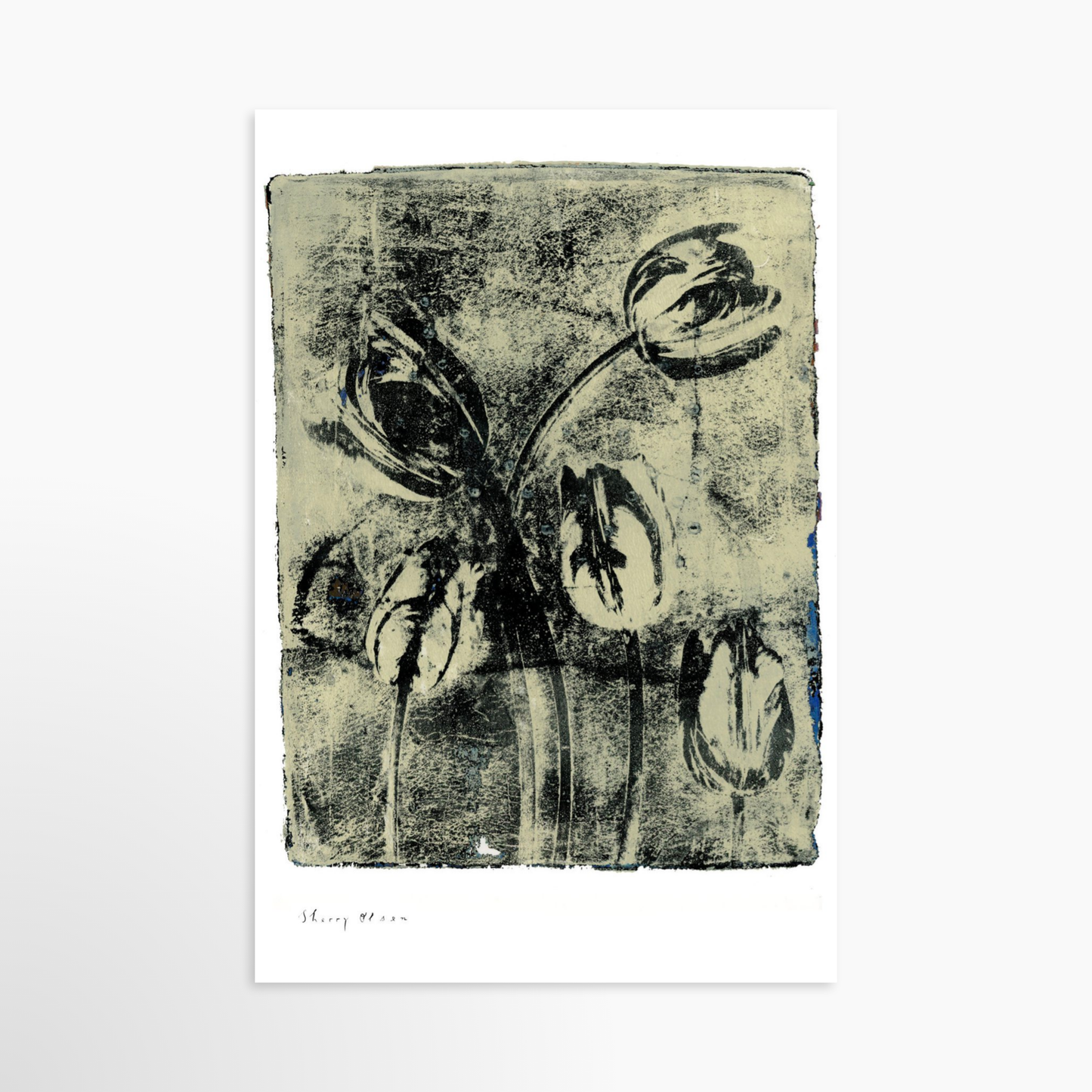 24" x 36" / Unframed